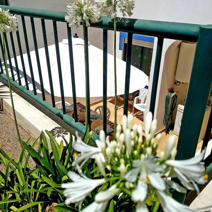 Apartamento Encantador A 100M Da Praia Карвоейру Екстер'єр фото